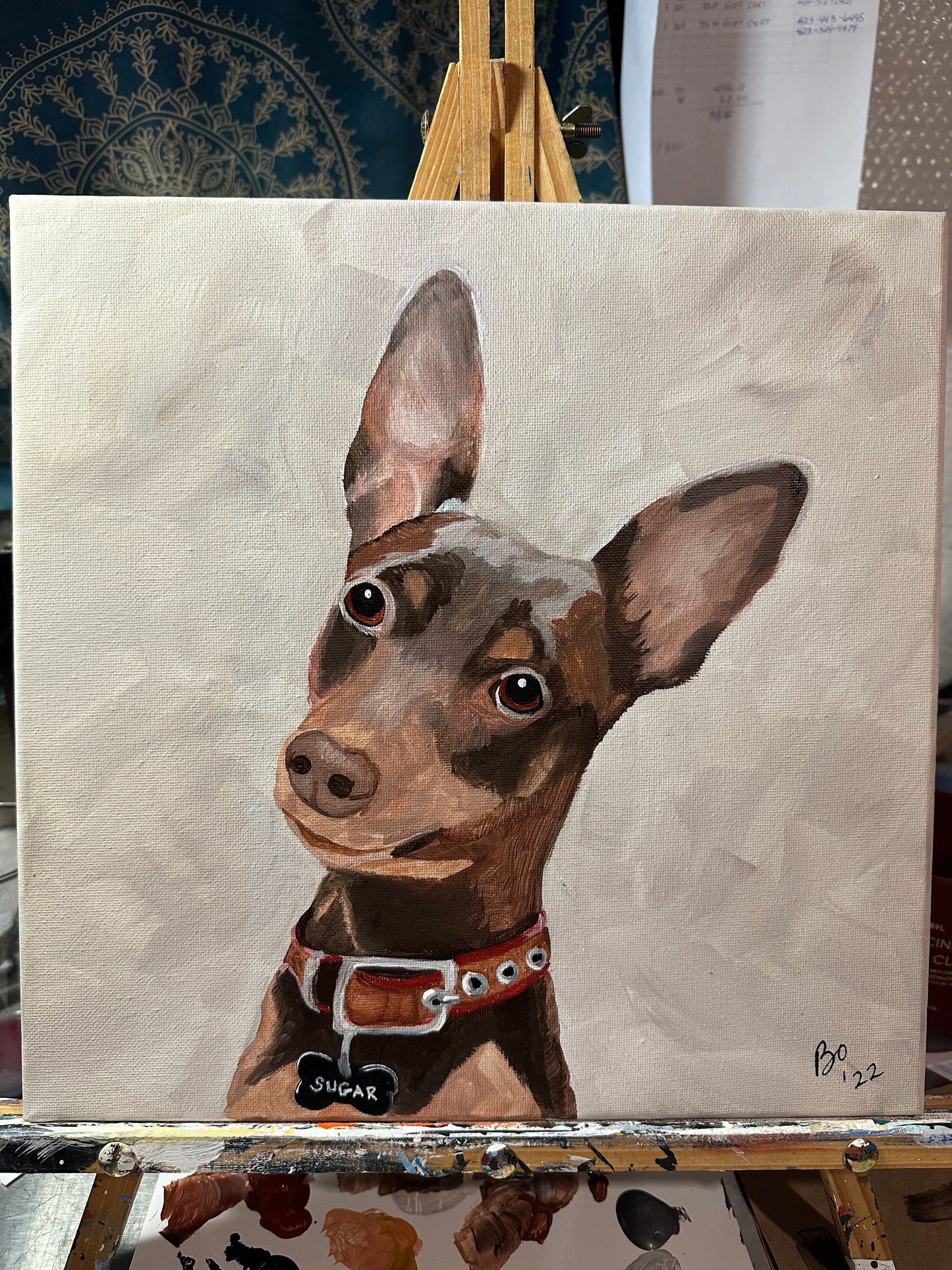 12x12 Pet Portrait, Painted Acrylic on gallery wrapped Canvas, FREE SHIPPING