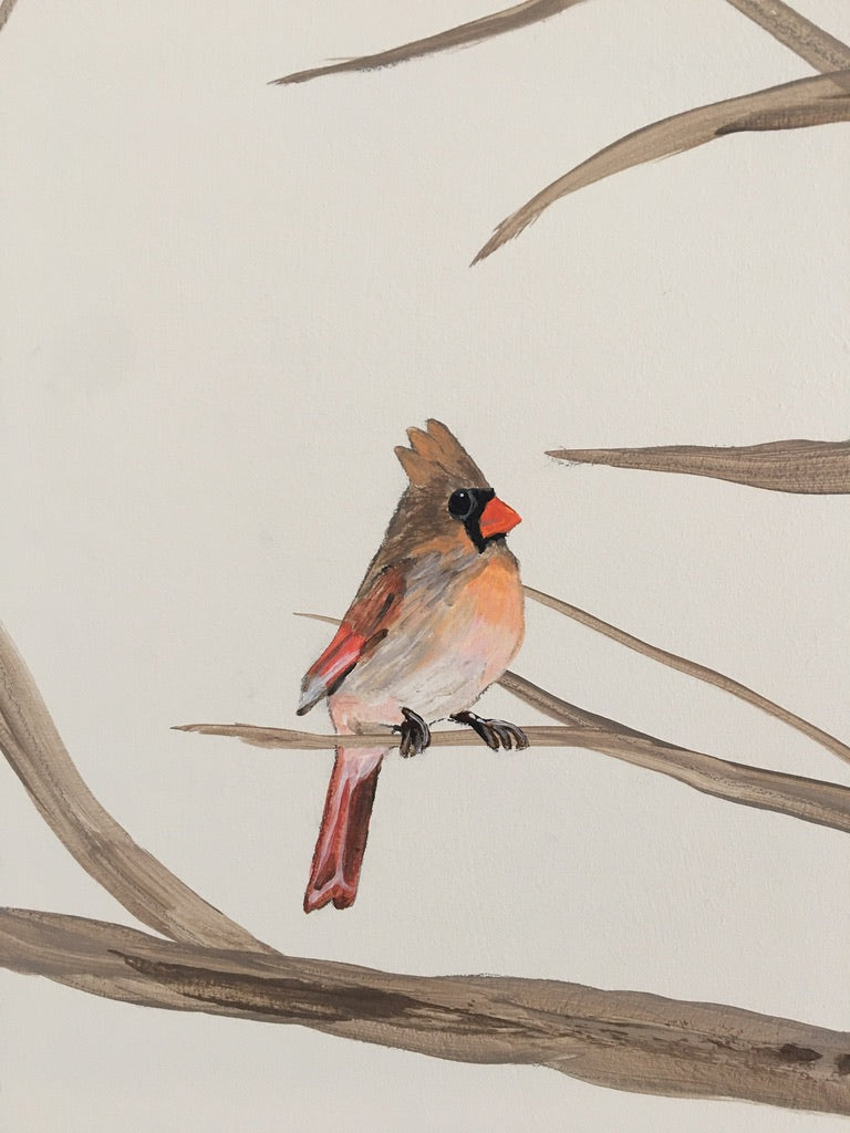 Nature, Birds & Animal Murals
