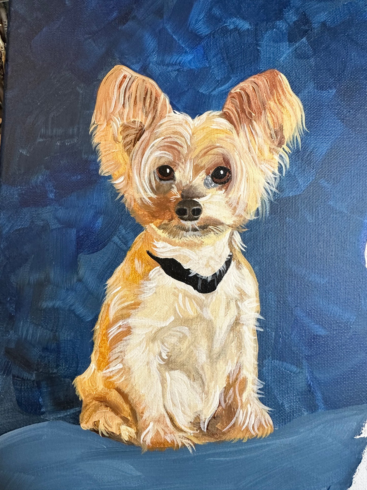 12x12 Pet Portrait, Painted Acrylic on Canvas, Ready to Hang