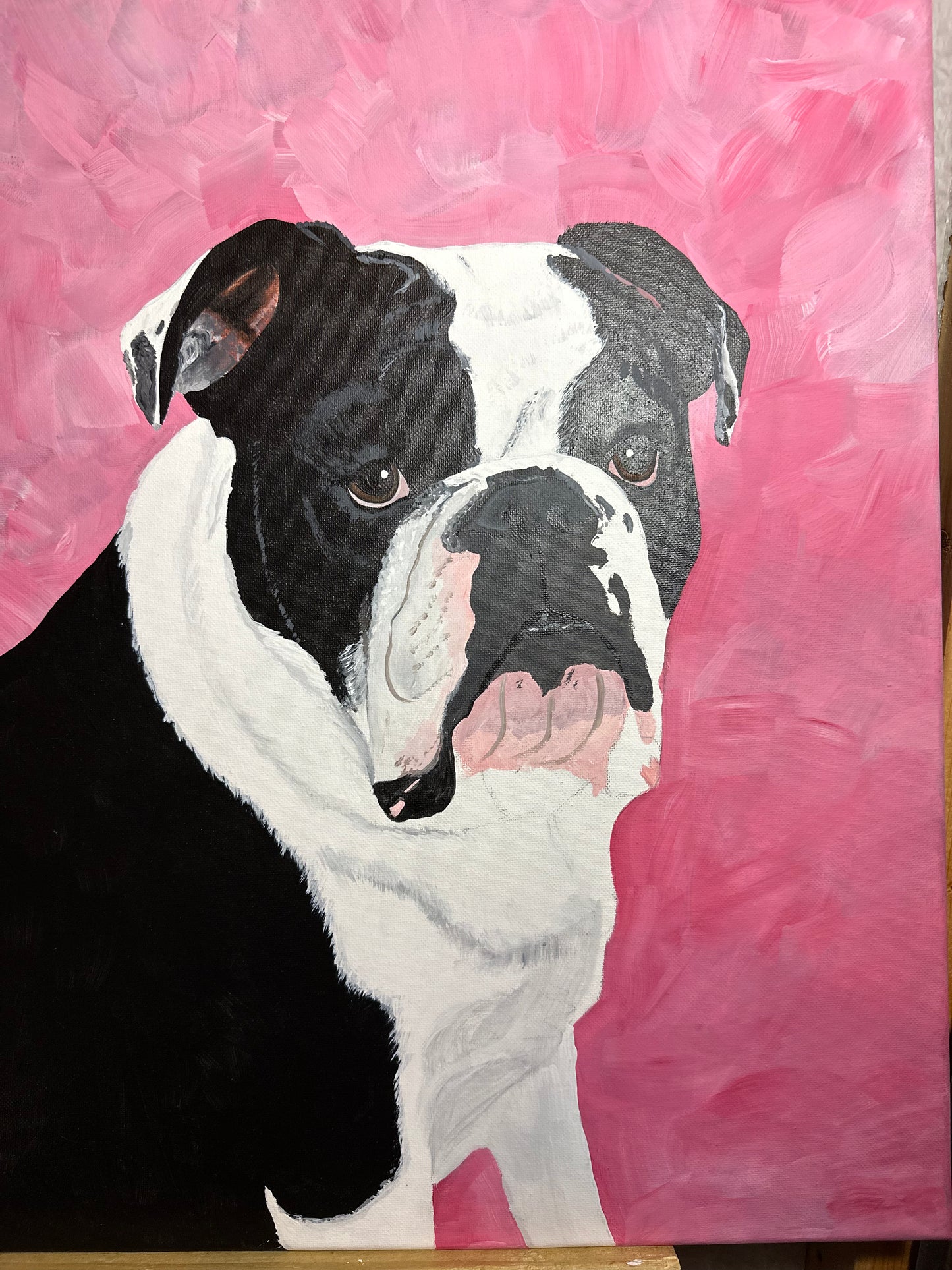 16 x 20 inch Pet Portraits in acrylic paint on canvas, Ready to Hang, FREE SHIPPING