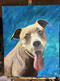 16 x 20 inch Pet Portraits in acrylic paint on canvas
