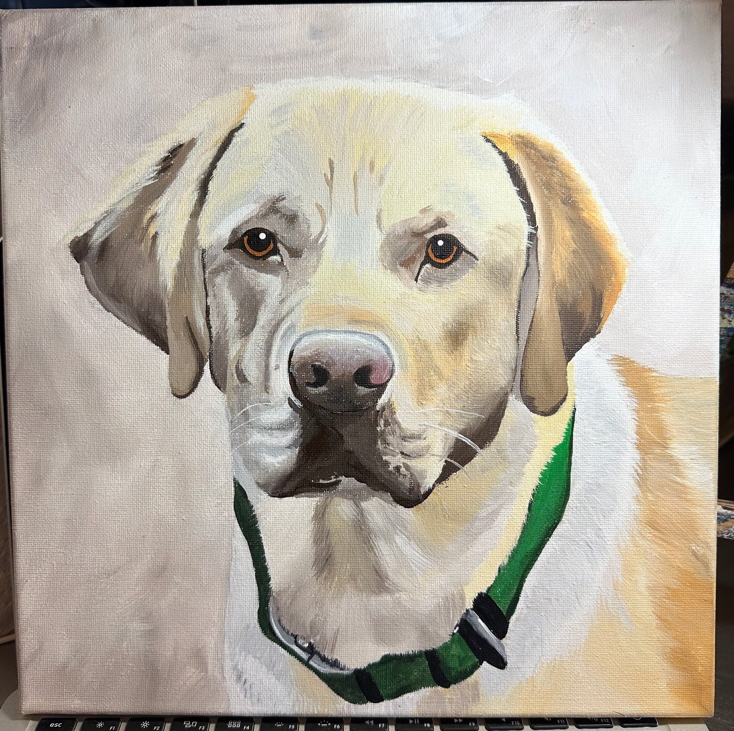 12x12 Pet Portrait, Painted Acrylic on gallery wrapped Canvas, FREE SHIPPING