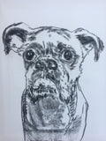 Charcoal Pet Sketch