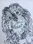 Charcoal Pet Sketch
